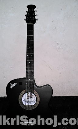 Signature Acuistic Guitar